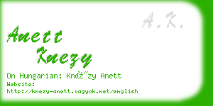 anett knezy business card